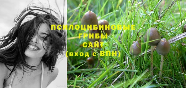 каннабис Беломорск