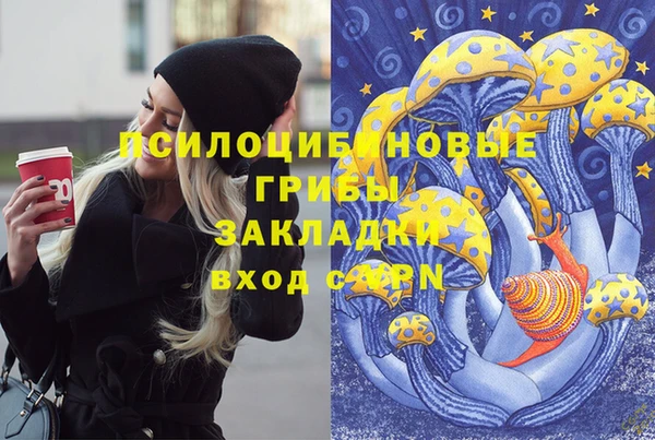 индика Тихвин