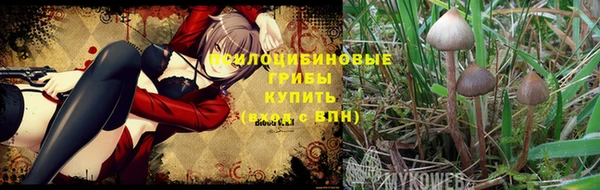 спиды Белокуриха